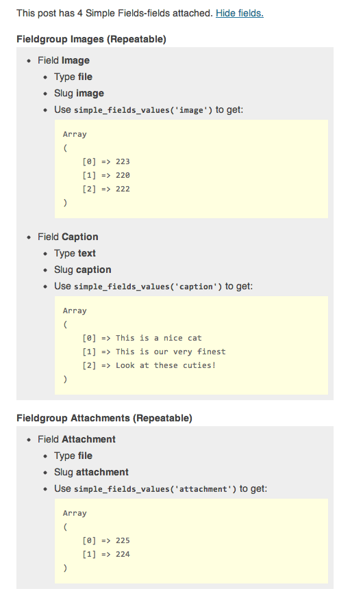 debug-tool-output-expanded